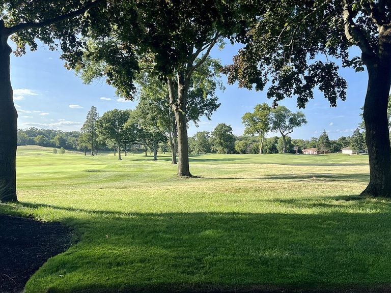 local favorites golf 1 768x576
