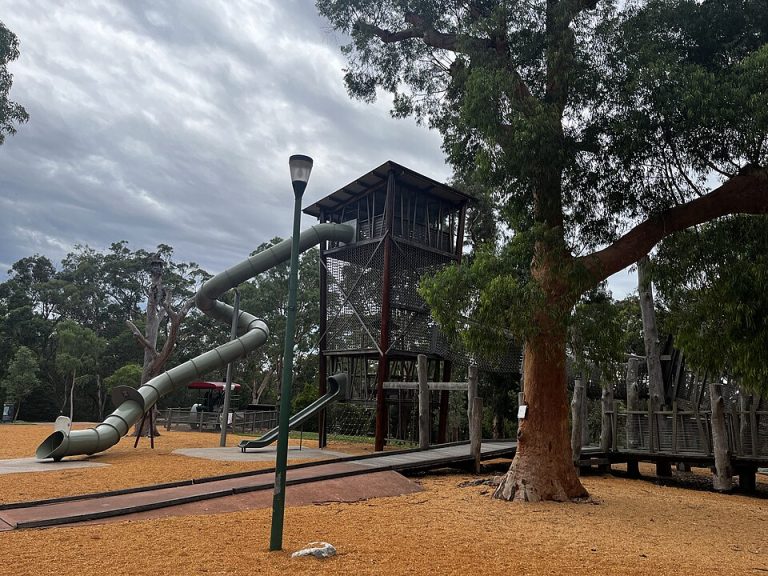 local favorites park 3 768x576