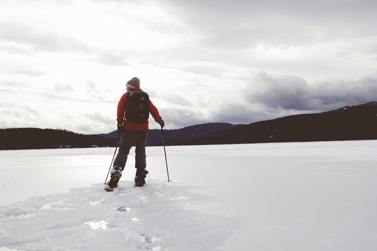 local favorites xcski 1 768x512